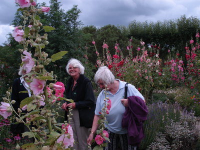 Admiring the flowers