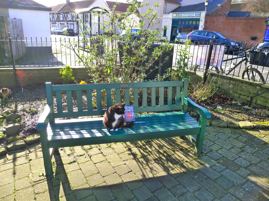 Tom on one of the benches in Bayley Gardens