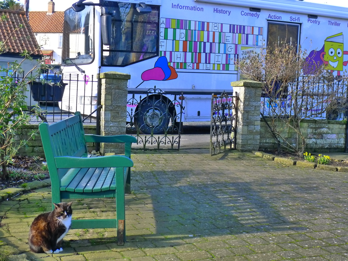 Tom waiting for food and petting from library users in Bayley Gardens