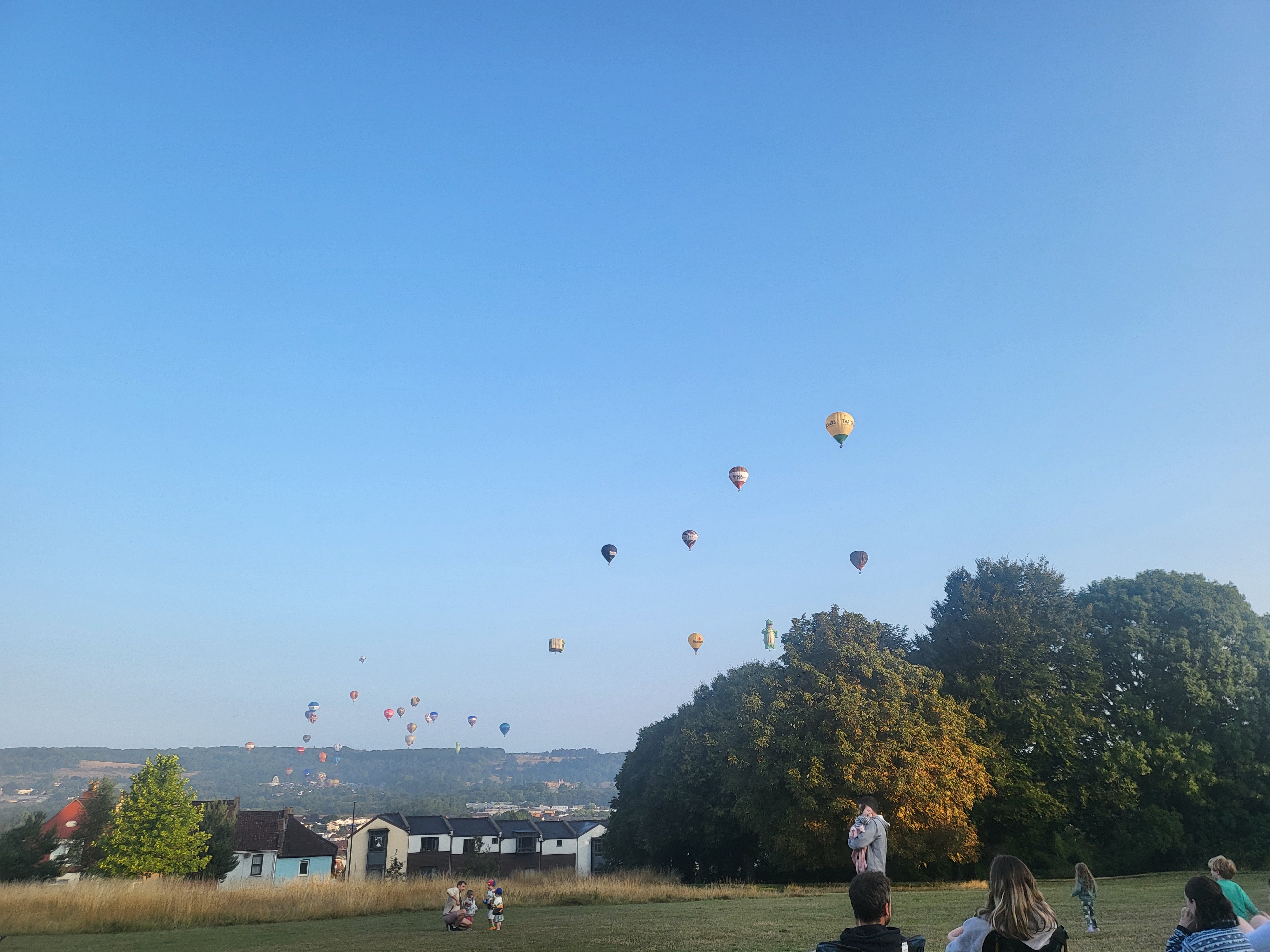 Hot air balloons in sky above treeline and houses