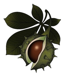 Friends of Ilchester Green logo