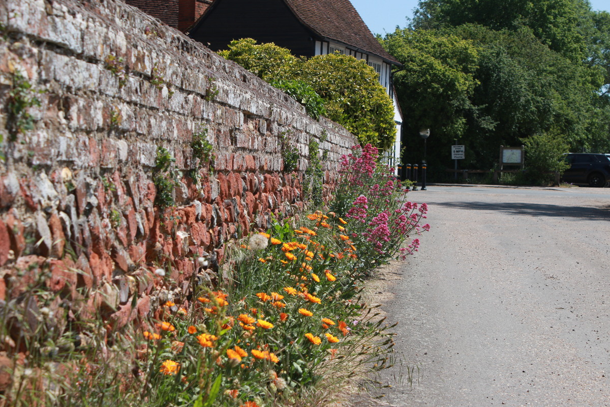 wall