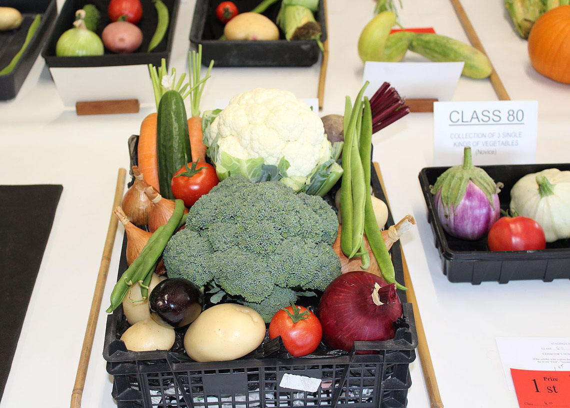 Autumn Show 2021 - Basket of Mixed Vegetables