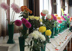 Autumn Show 2022-  Dahlias & Chrysanthemums