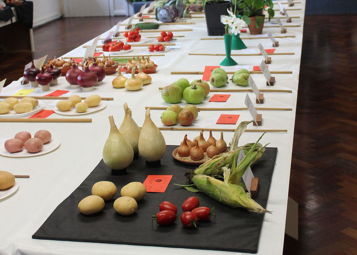 Autumn Show 2022 - Fruit and Vegetables Display
