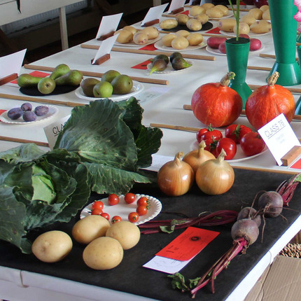 Autumn Show 2023 - Vegetables and Fruit