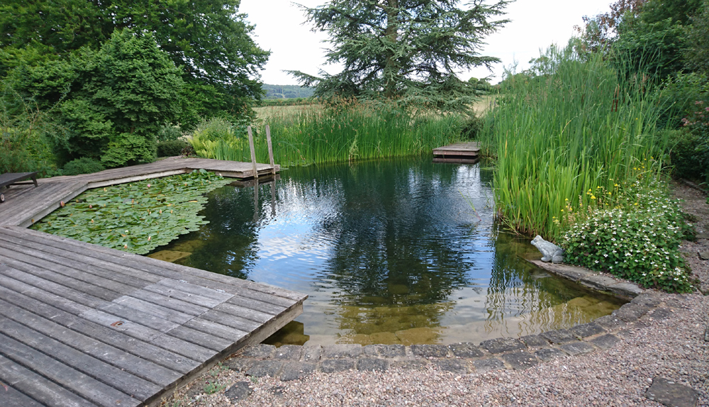 Cedar House - The Natural Pond