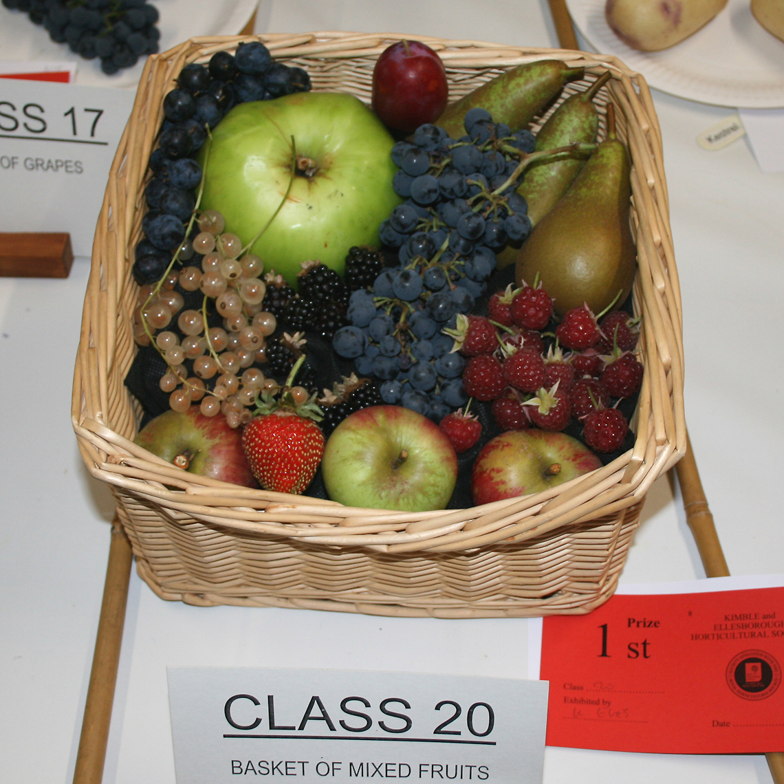 Mixed Basket of Fruit - Class 20