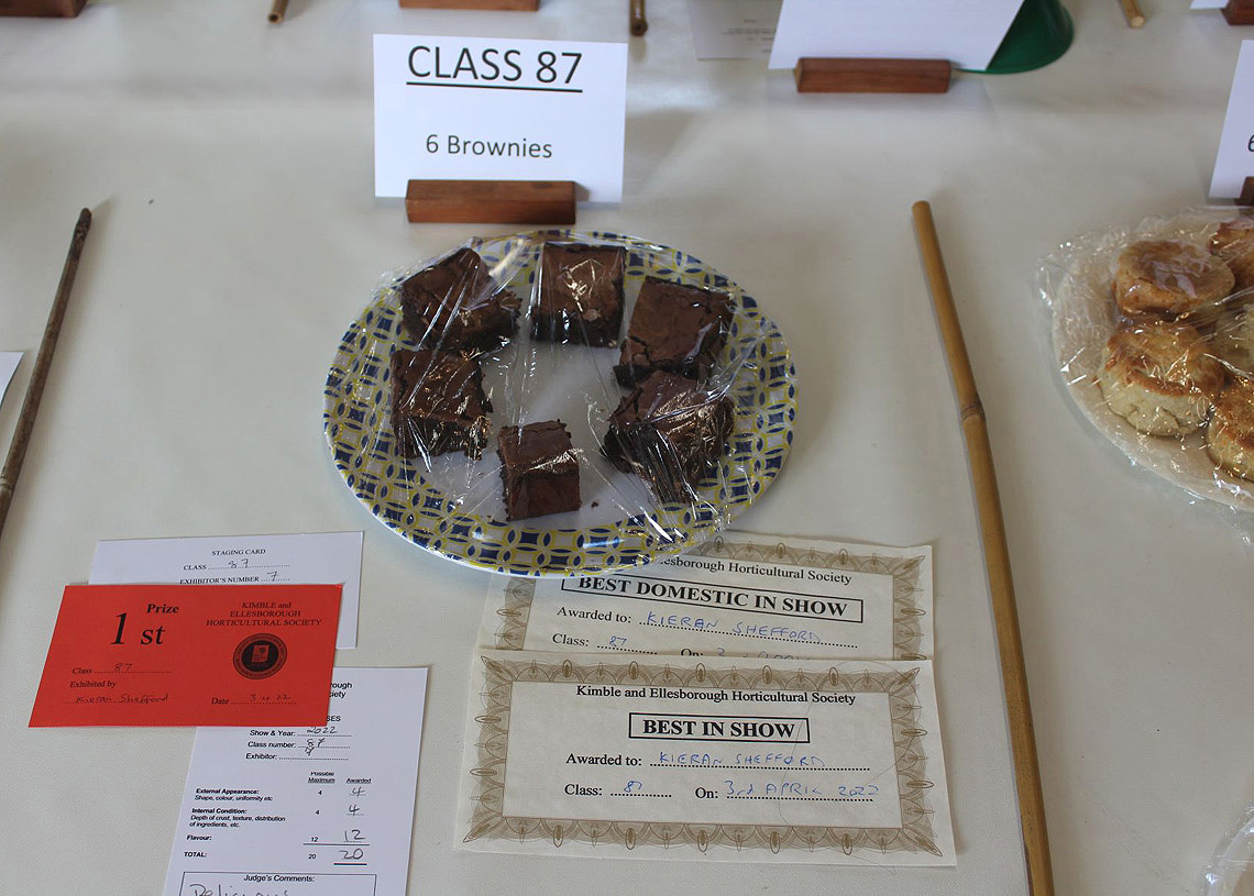 Domestic Classes - Best in Show Brownies