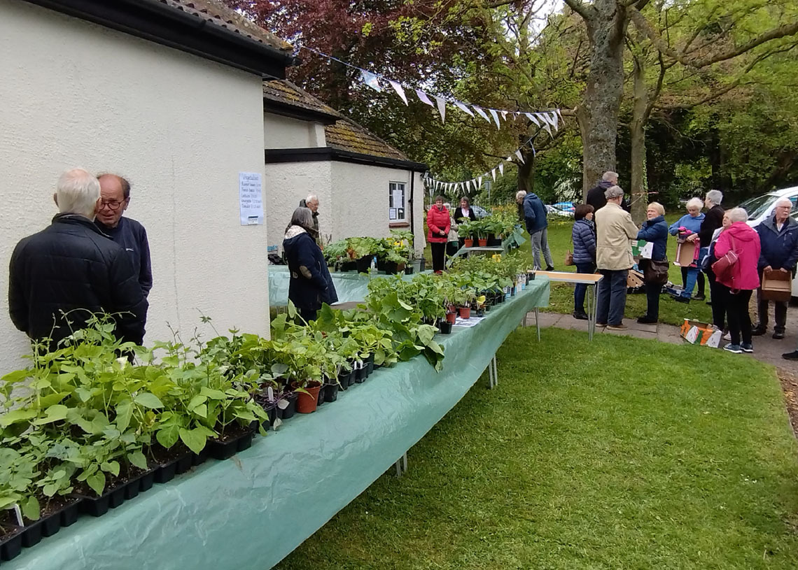 Plant Sale 2023 - Ready for the Off
