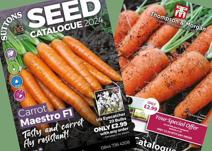 Seed Catalogues 2024