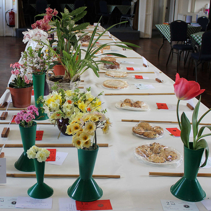 Spring Flowers and Domestic Classes