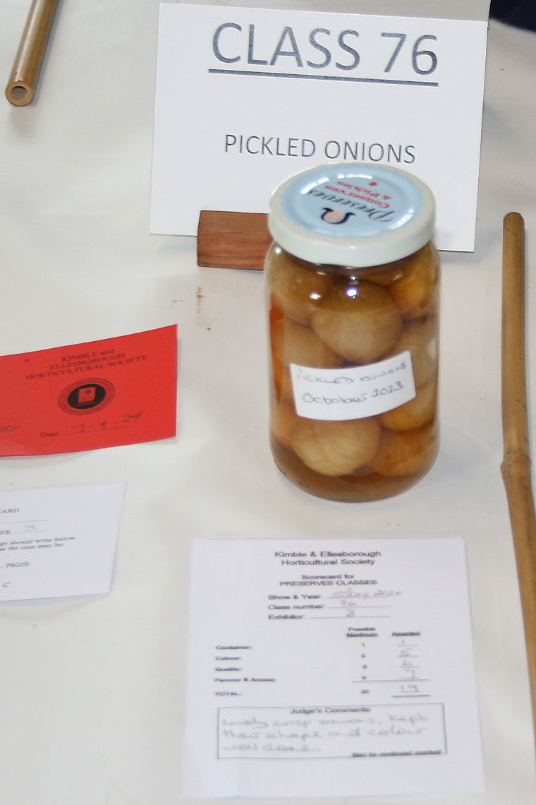 Class 76 - Pickled Onions