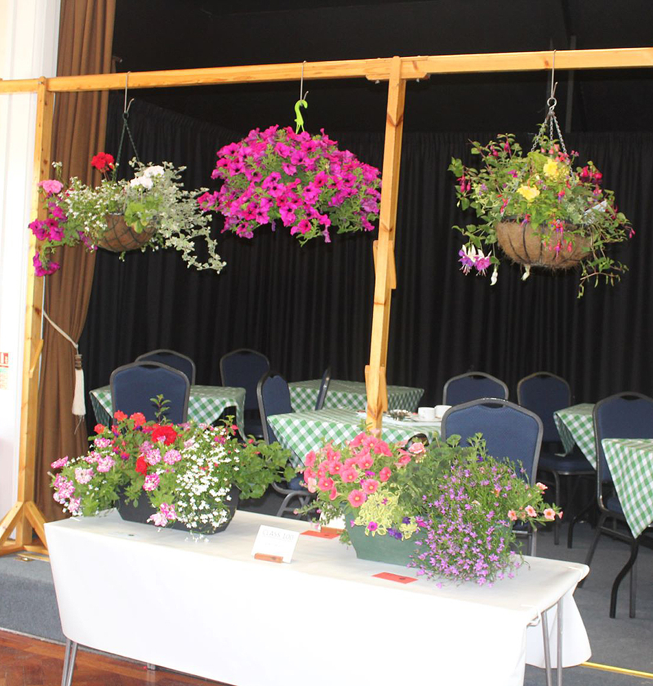 Summer Show 2019: Hanging Baskets and Troughs