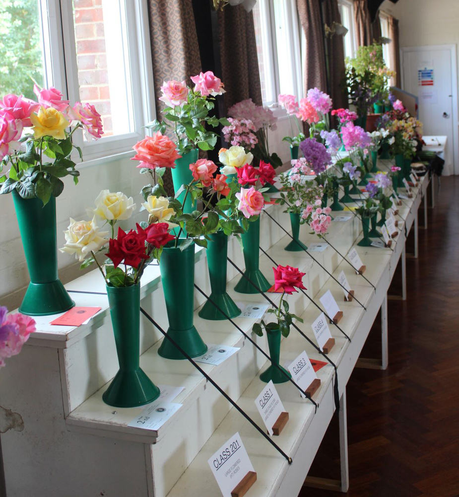 Summer Show 2019: Roses
