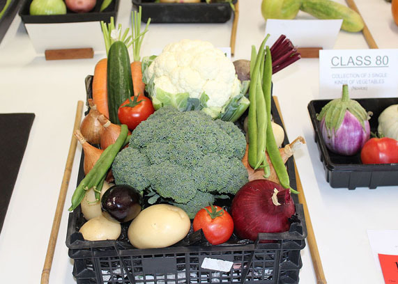 Mixed Basket of Vegetables - Class 66