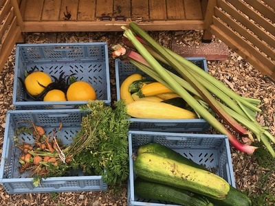 Some donated crop drop produce.