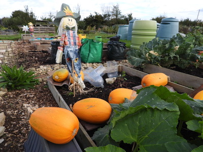 A wonderful scarecrow.