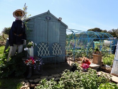 Plots and crops 2023