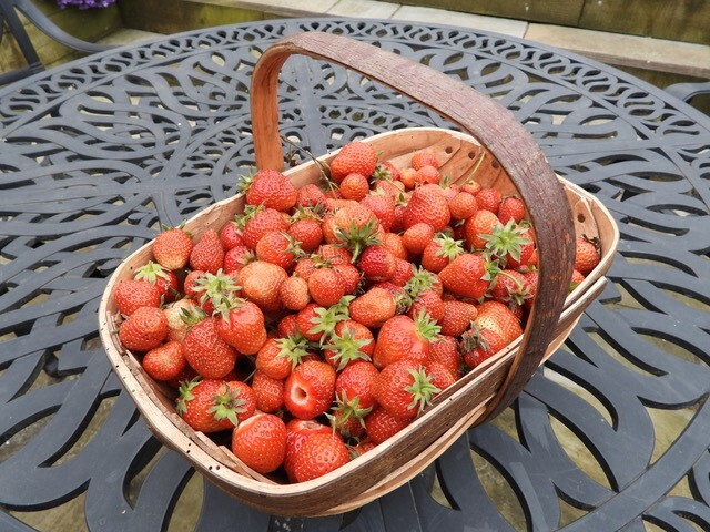 Strawberries