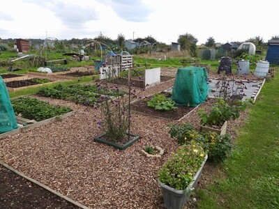 A view of a plot.