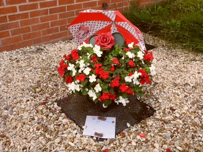 Umbrella Walk Exhibit 2