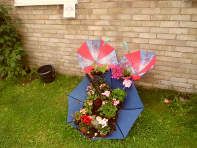 Umbrella Walk Exhibit 3