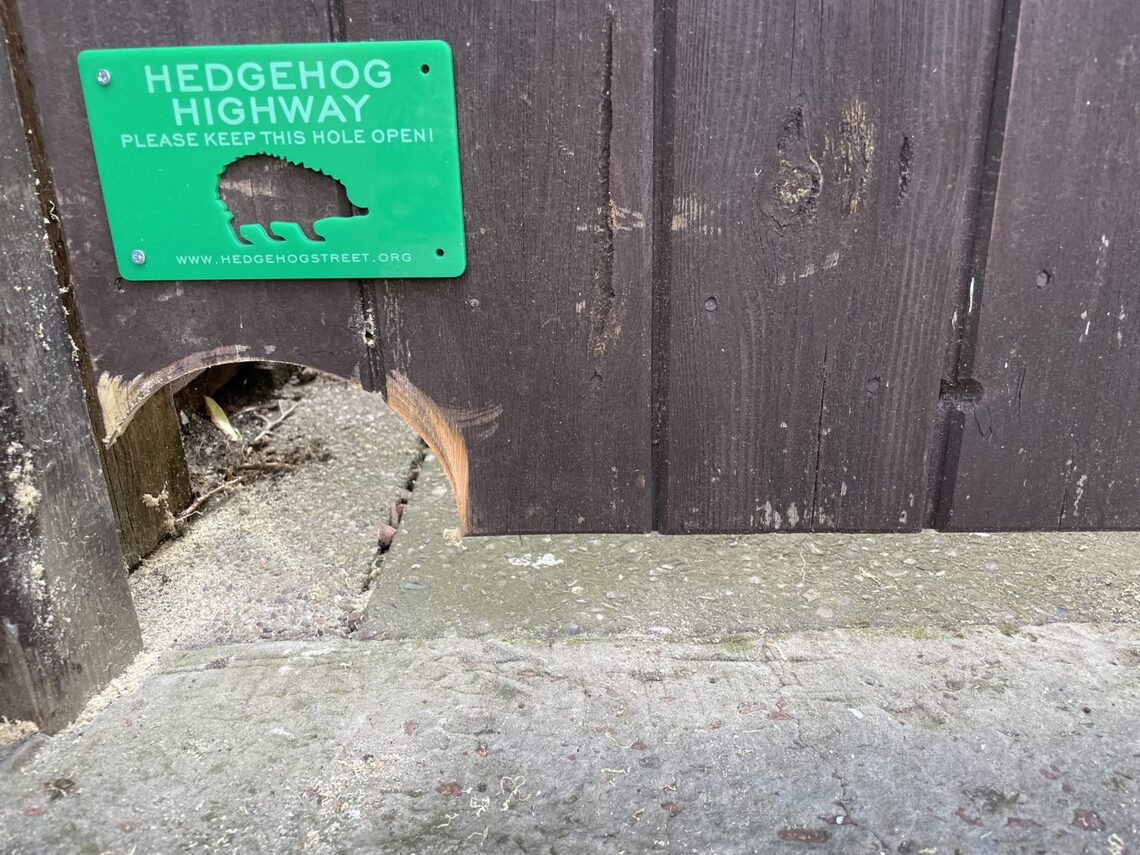 Hedgehog Highway sign