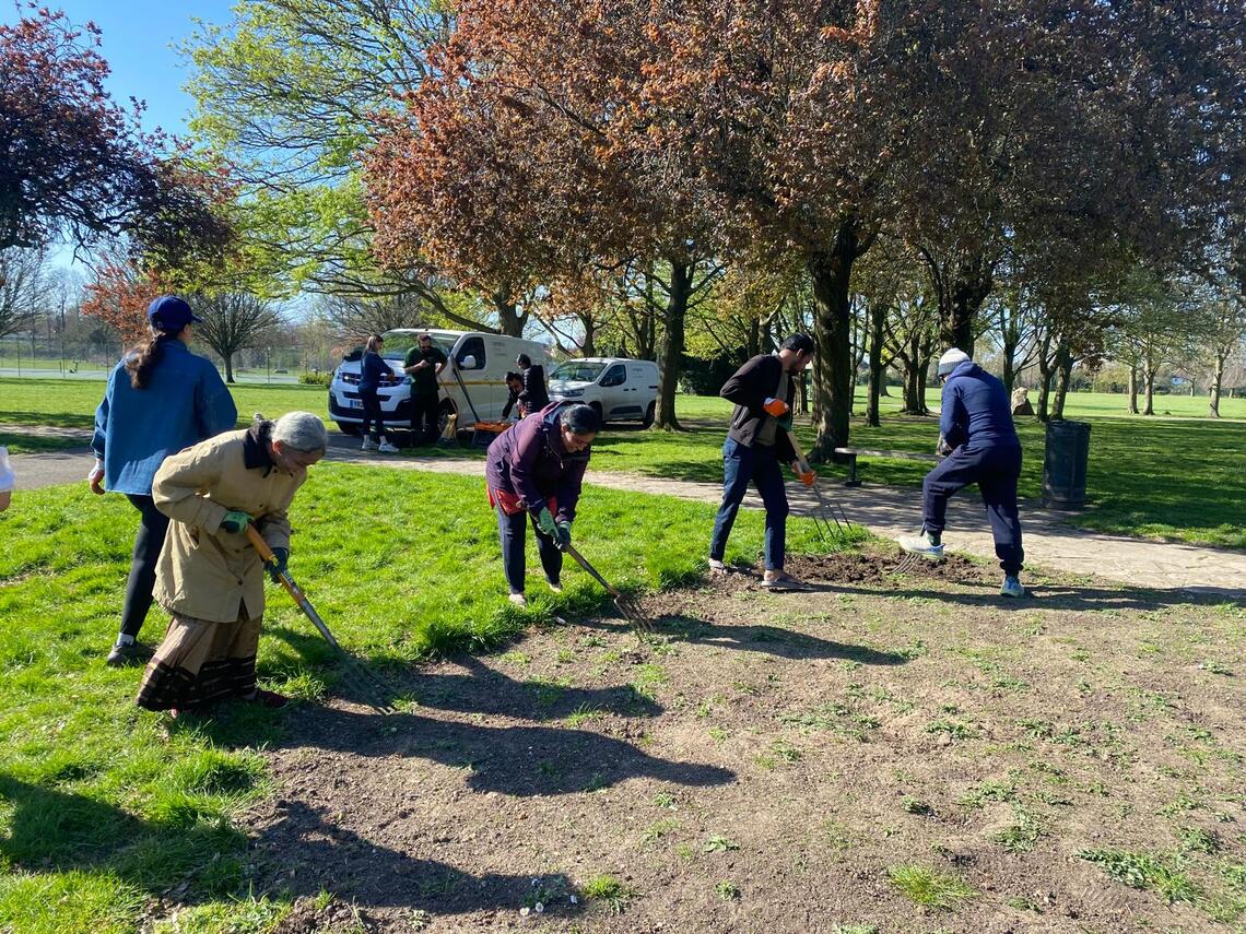 Forget Me Not_Seed Sowing