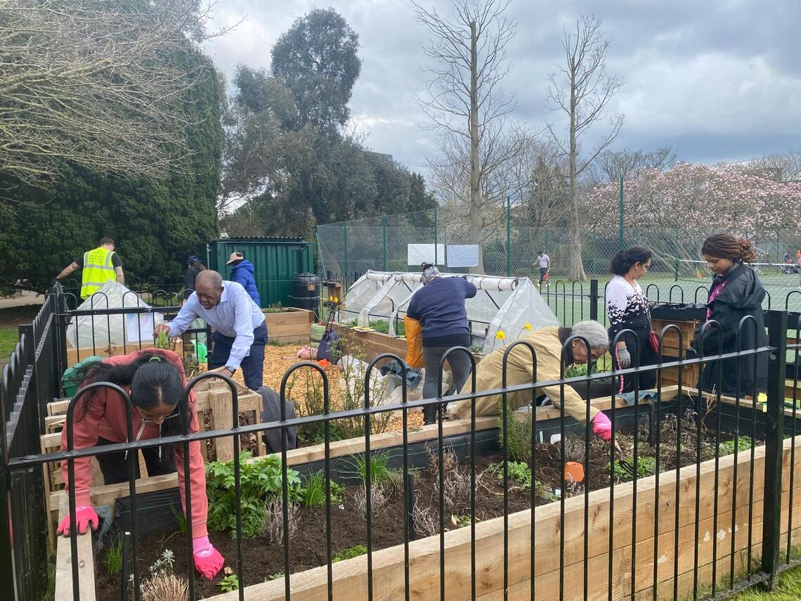 Lapton Allotment Garden Work