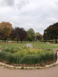 Irie Pond pre restoration 
