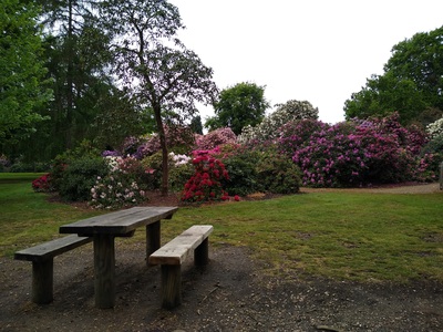 View of the finish area by Fiona Kennedy