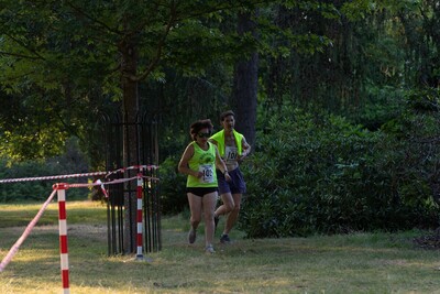 langley Park  NBS2022-313