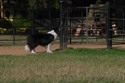 Langley Park - NBS2022-054