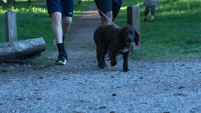 Langley Park - NBS2022-061