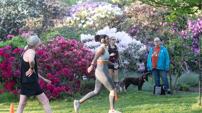 Langley Park - NBS2022-246