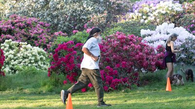 Langley Park - NBS2022-252