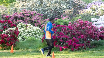 Langley Park - NBS2022-254