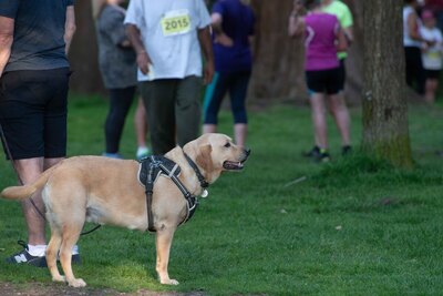 Langley Park - NBS2022-328