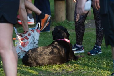 Langley Park - NBS2022-345