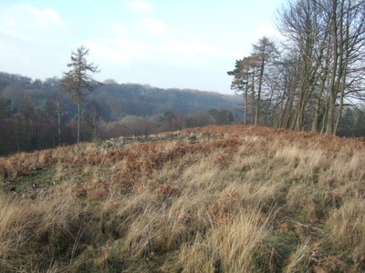 Looking Northish across Coldharbour Common