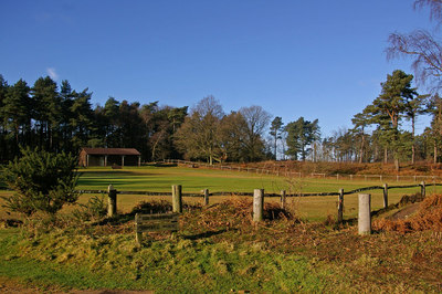 Coldharbour Cricket Pitch in winter