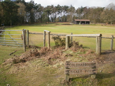Coldharbour Cricket Pitch showing sign