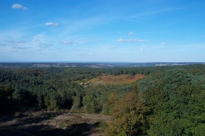 View from Leith Hill Tower