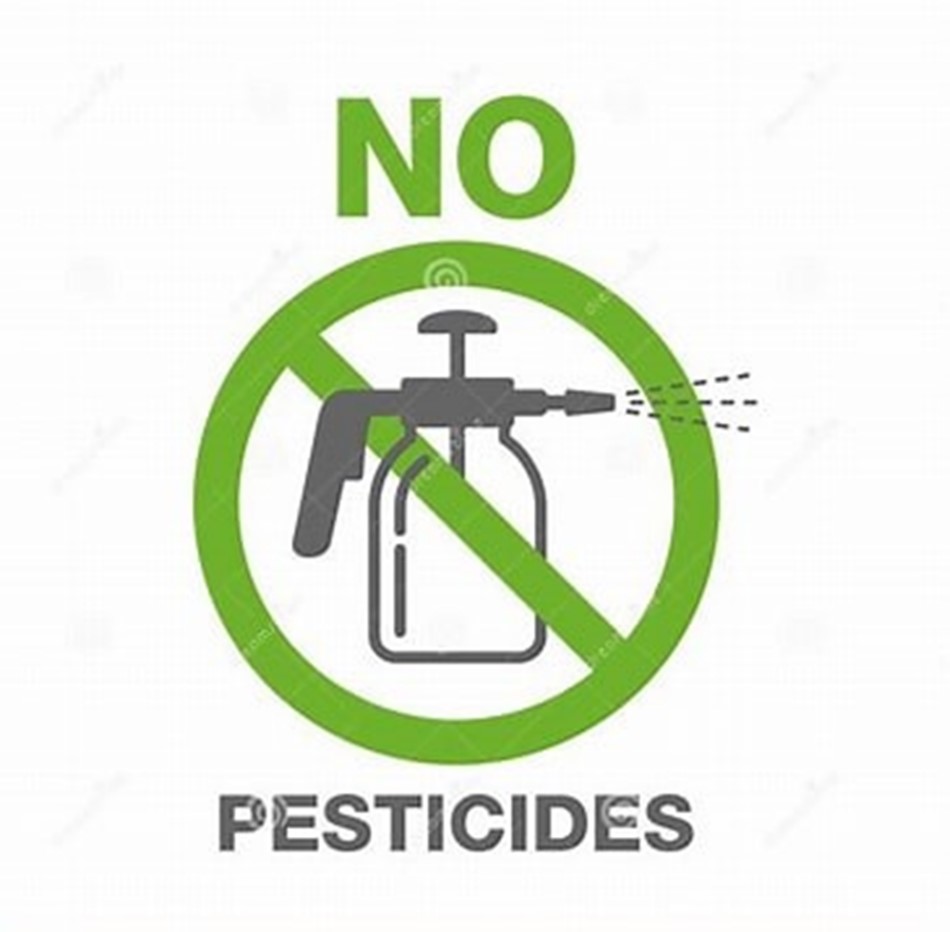 No_Pesticides.jpg