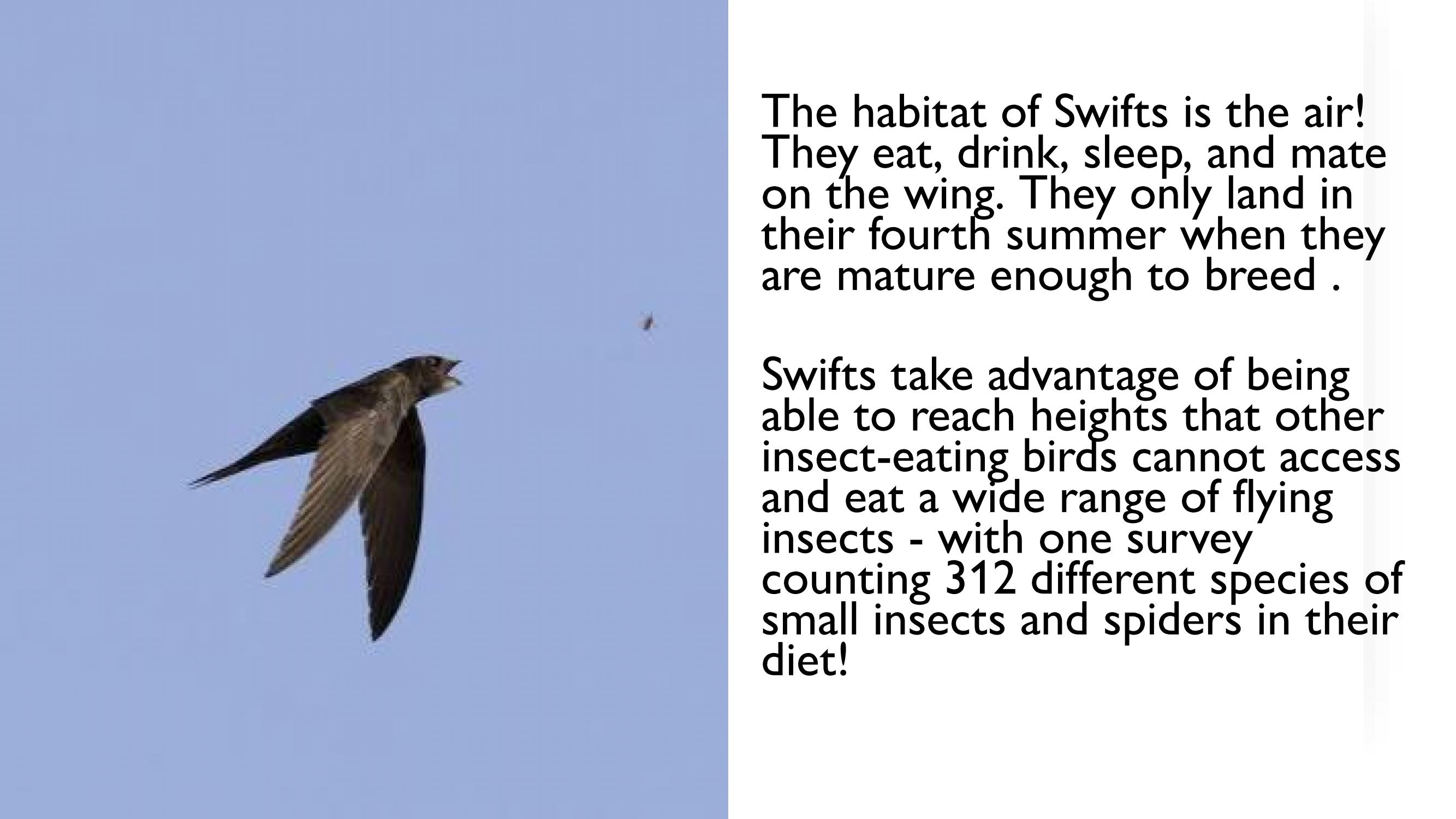 AGM_SWIFT_FRIENDLY_TOWN_POWERPOINT_PDF_Page_10.jpeg