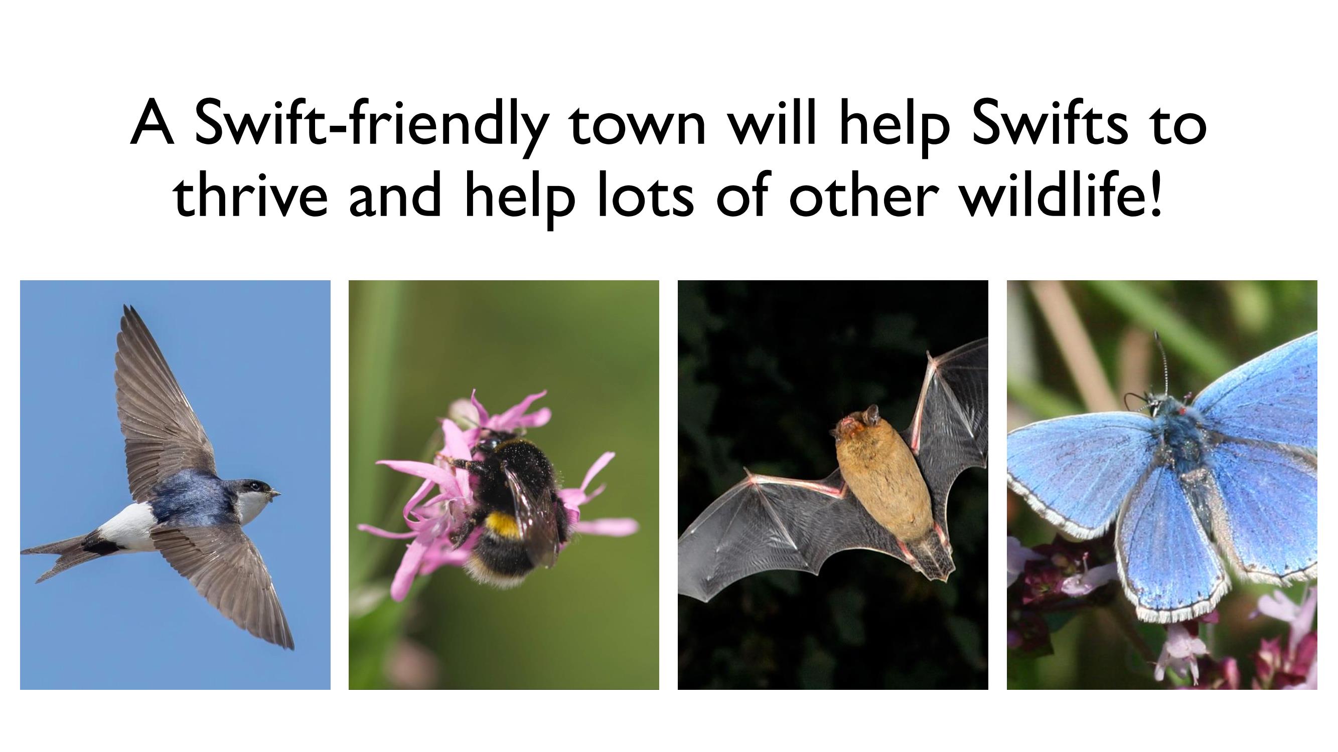 AGM_SWIFT_FRIENDLY_TOWN_POWERPOINT_PDF_Page_14.jpeg