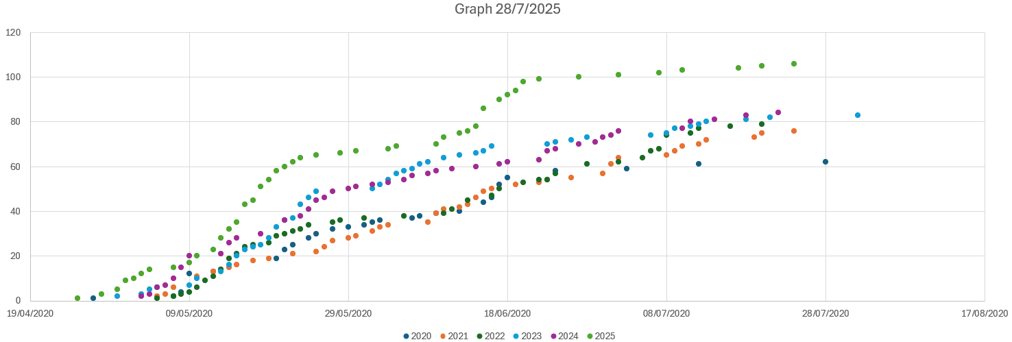 graph_28-7-2025.png
