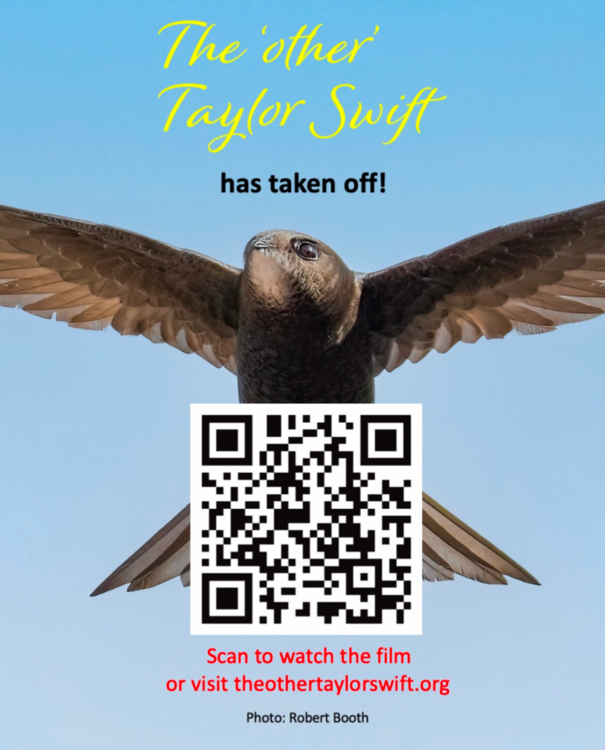 Taylor_Swift_film_qr_pic.png