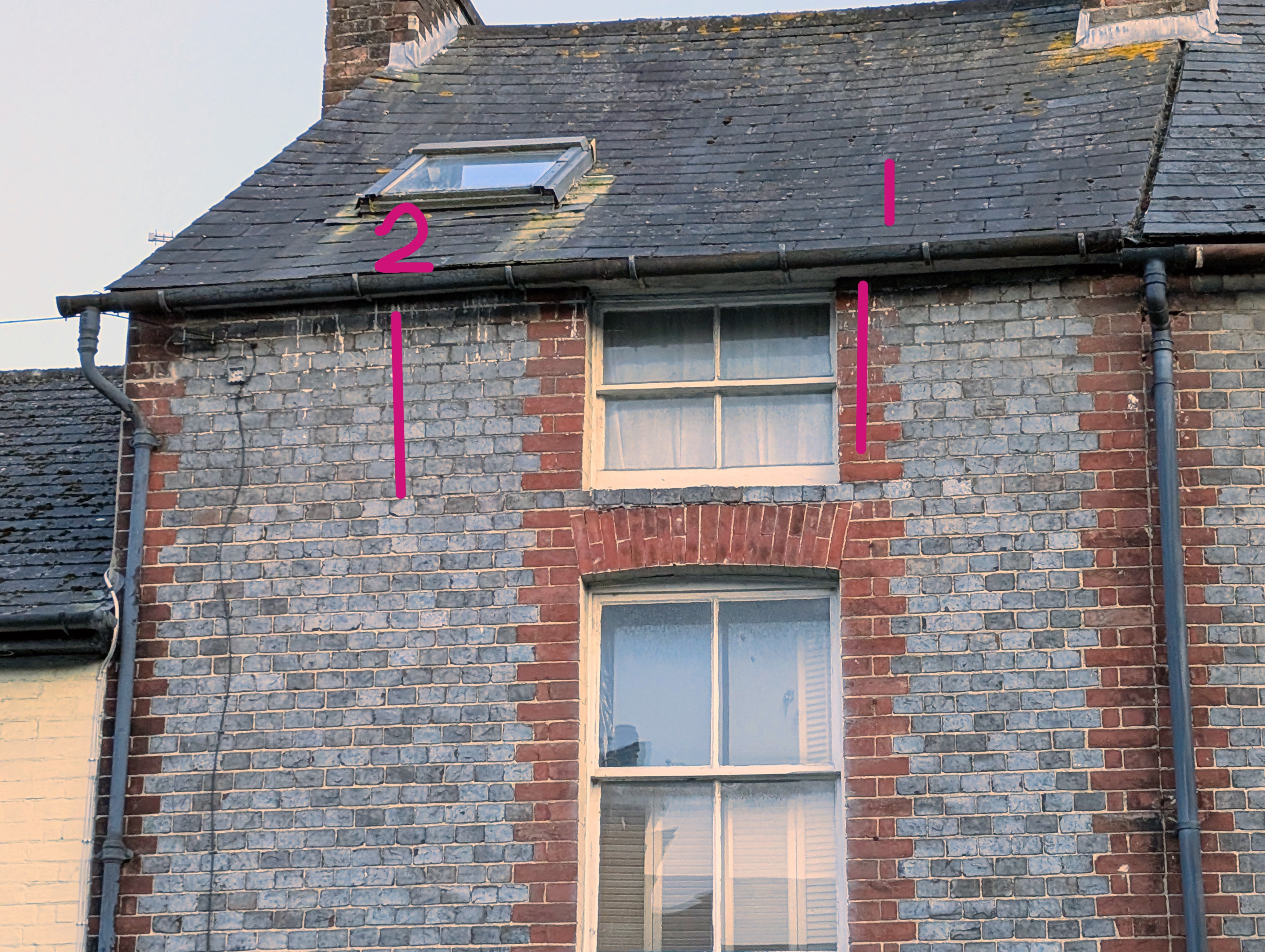 98_Western_Road_TWO_NESTS.jpg